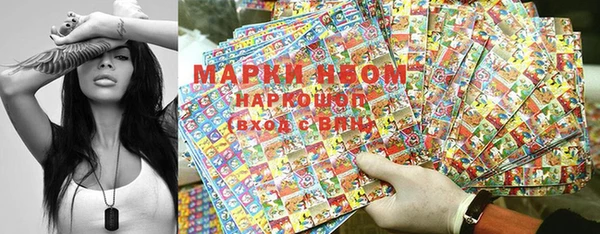 гашик Горняк