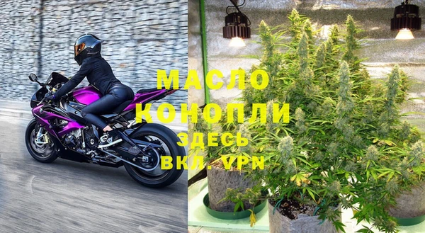 гашик Горняк