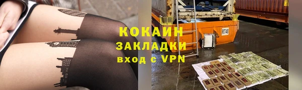 гашик Горняк