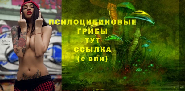 MDMA Горнозаводск