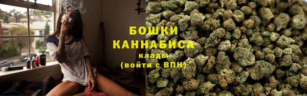 гашик Горняк