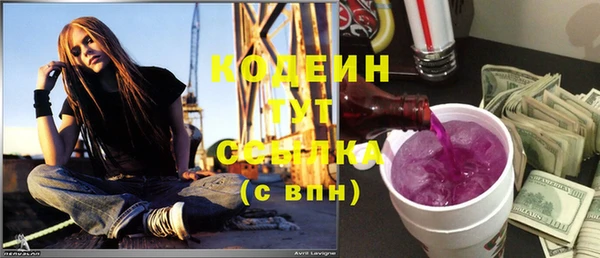 гашик Горняк